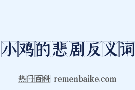 小鸡的悲剧反义词是什么意思的图片